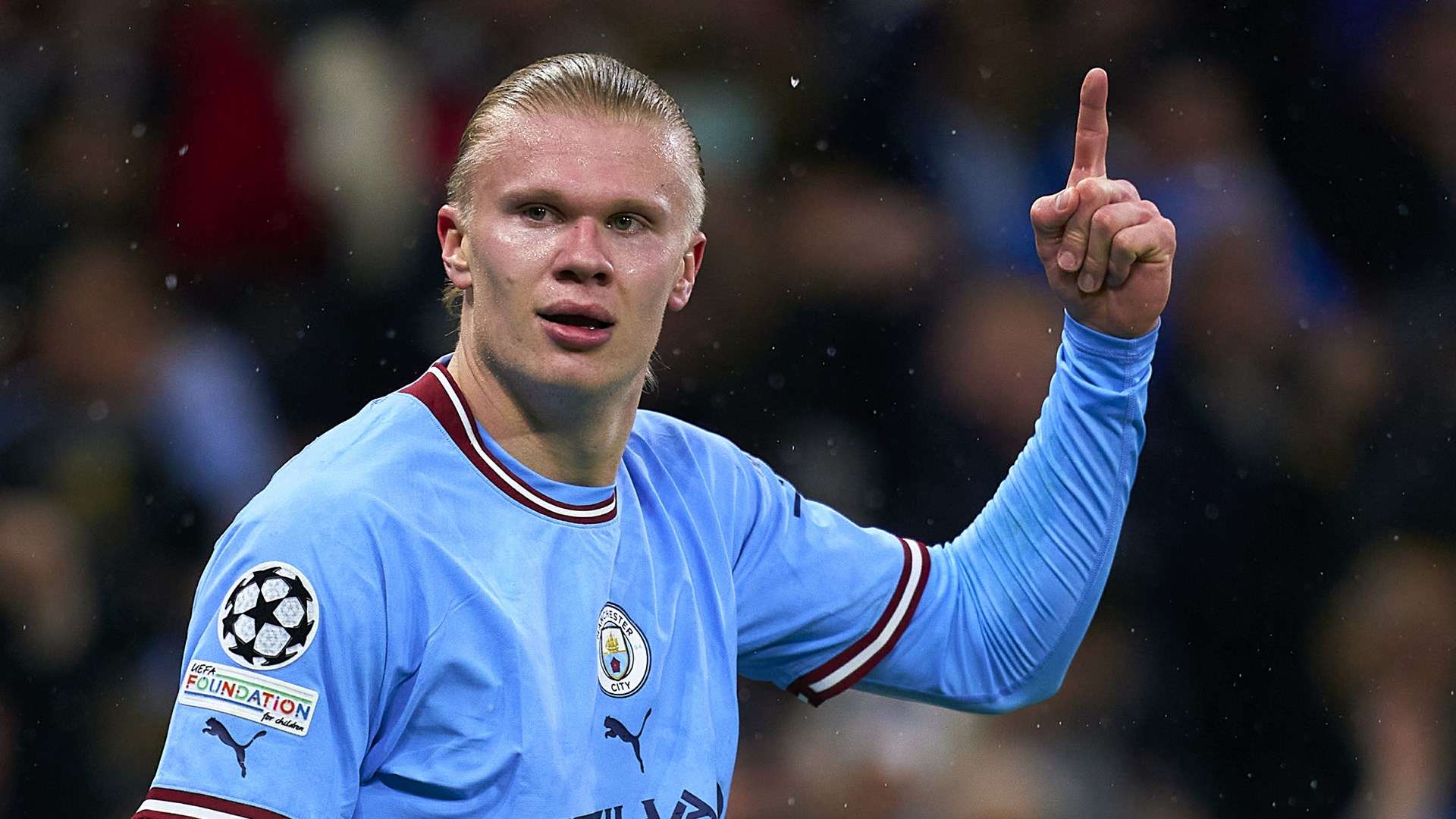 它已成长为 它已成长为